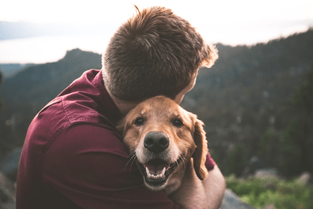 A man hugging a dog for mental health counselling